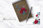 Dark red peonies, an Illustration by Vasmila (Thumbnail 7 of 10)