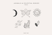 Stargazer Celestial Vector Set, a Graphic by Minimal Marks (Thumbnail 6 of 7)