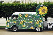 Summer Meadow patterns, a Pattern Graphic by Piñata (Thumbnail 8 of 12)