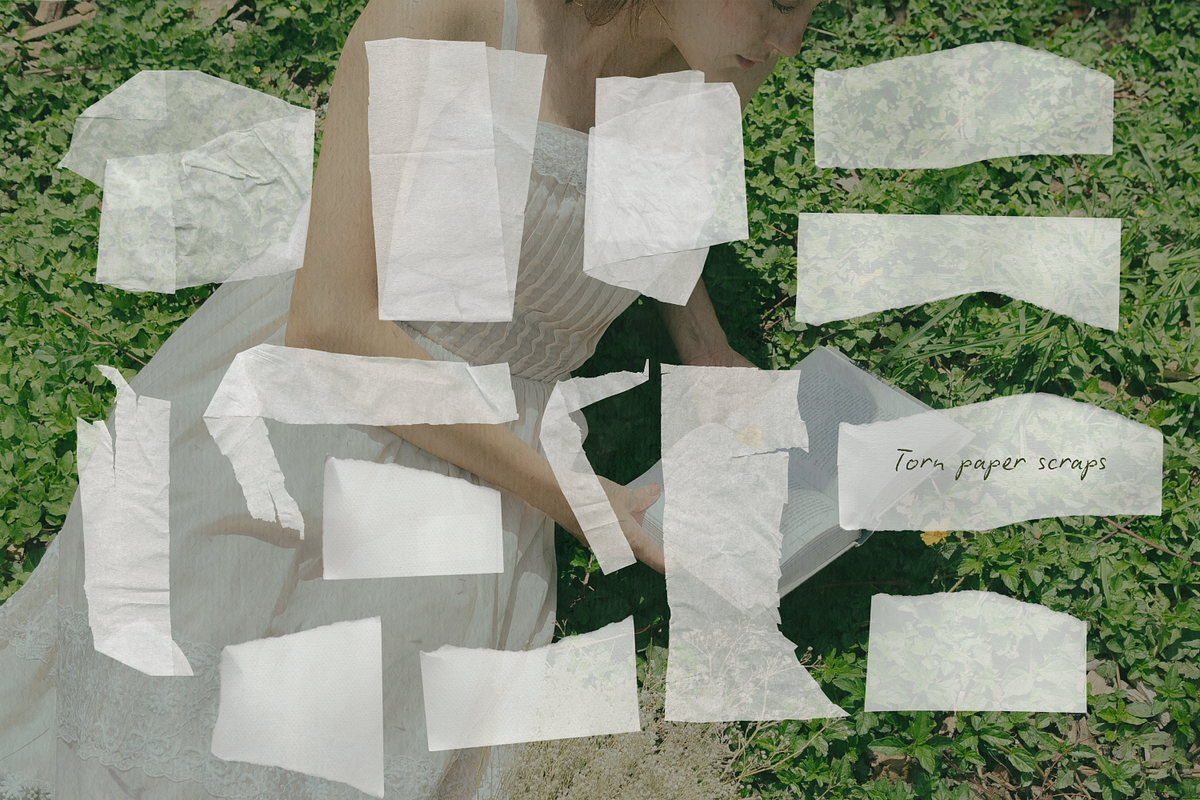Greenhouse Archive / Garden Collage, an Object Graphic by Natali Batu (Photo 12 of 13)