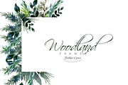 Watercolor Leaves & Greenery, an Illustration by Feather Grace Designs (Thumbnail 5 of 12)