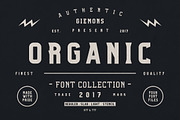 CELEBRATE 2019 BUNDLE - 51 Fonts, a Slab Serif Font by giemons™ (Thumbnail 26 of 37)