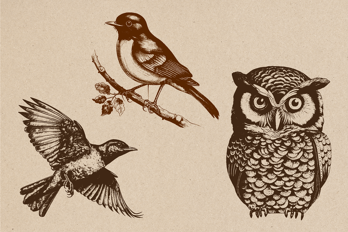 20 Vintage Birds Vector Graphics, a Graphic by Vectorian (Photo 3 of 4)