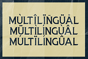 Forence || Vontage Display Font, a Serif Font by Idea Studio (Thumbnail 9 of 10)