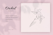 Orchid #19. Line Art Illustration, a Decorative Illustration by lapi-olesya (Thumbnail 1 of 3)