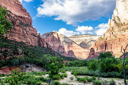 Zion featuring tourism, trail, and travel