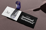 Ceciliany Serif Font Family, a Serif Font by Ryul Davidson (Thumbnail 2 of 25)