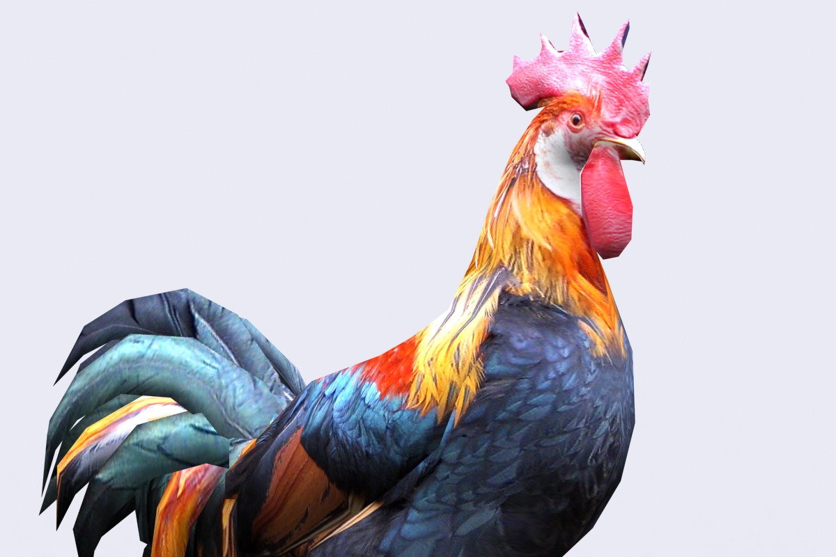 3DRT - Domestic animals - Rooster, an Animal 3D Model by 3DRT.com (Photo 1 of 3)