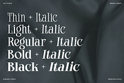 Bright Legacy - Family Luxury Font, a Serif Font by Say Studio (Thumbnail 10 of 10)