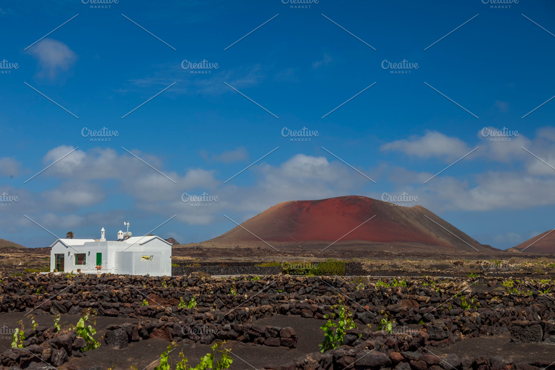 Lanzarote island, vineyards, a Nature Photo by Atropos Images