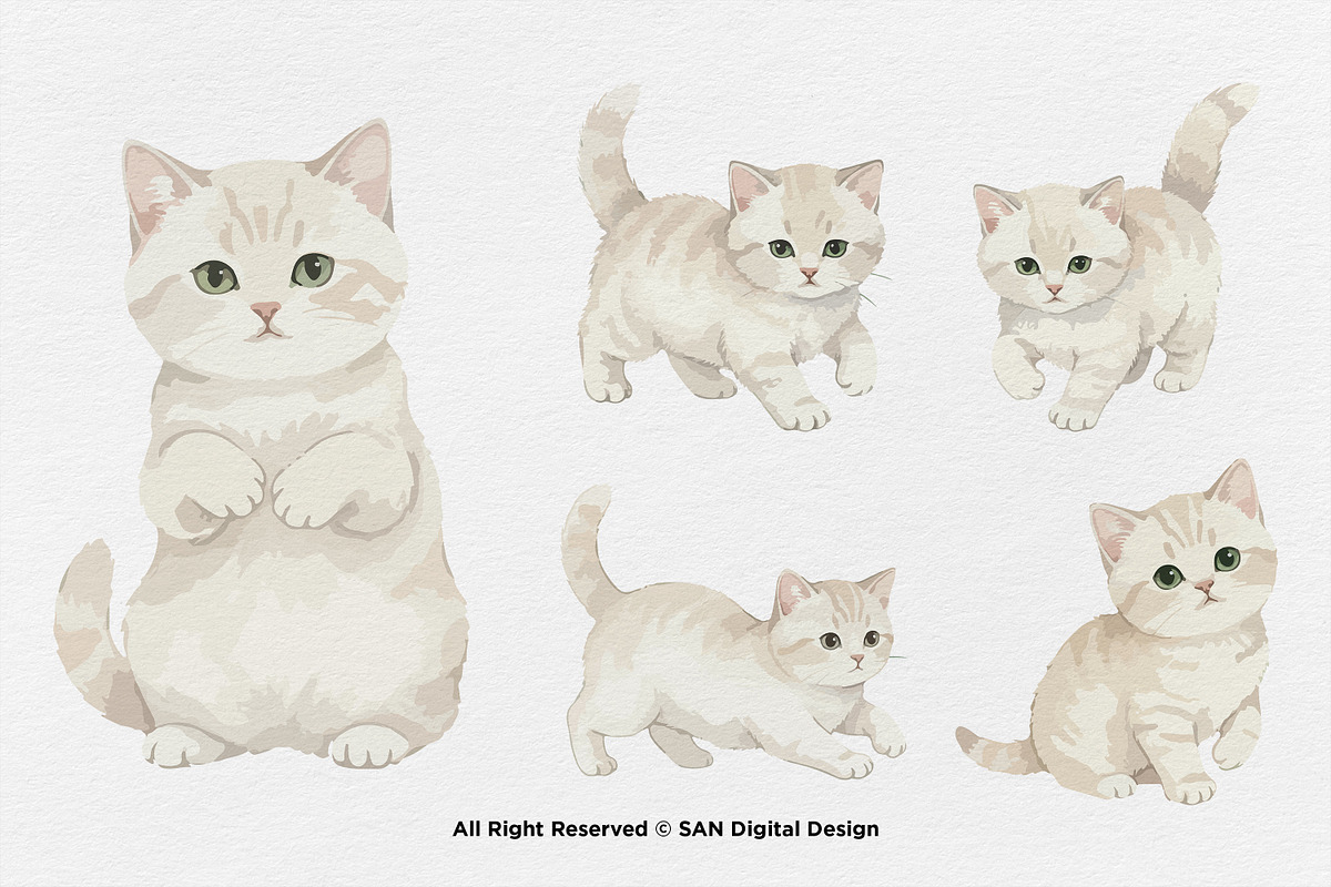 15 Bundle Watercolor White Kitten, an Animal Illustration by Morspective (Photo 7 of 8)