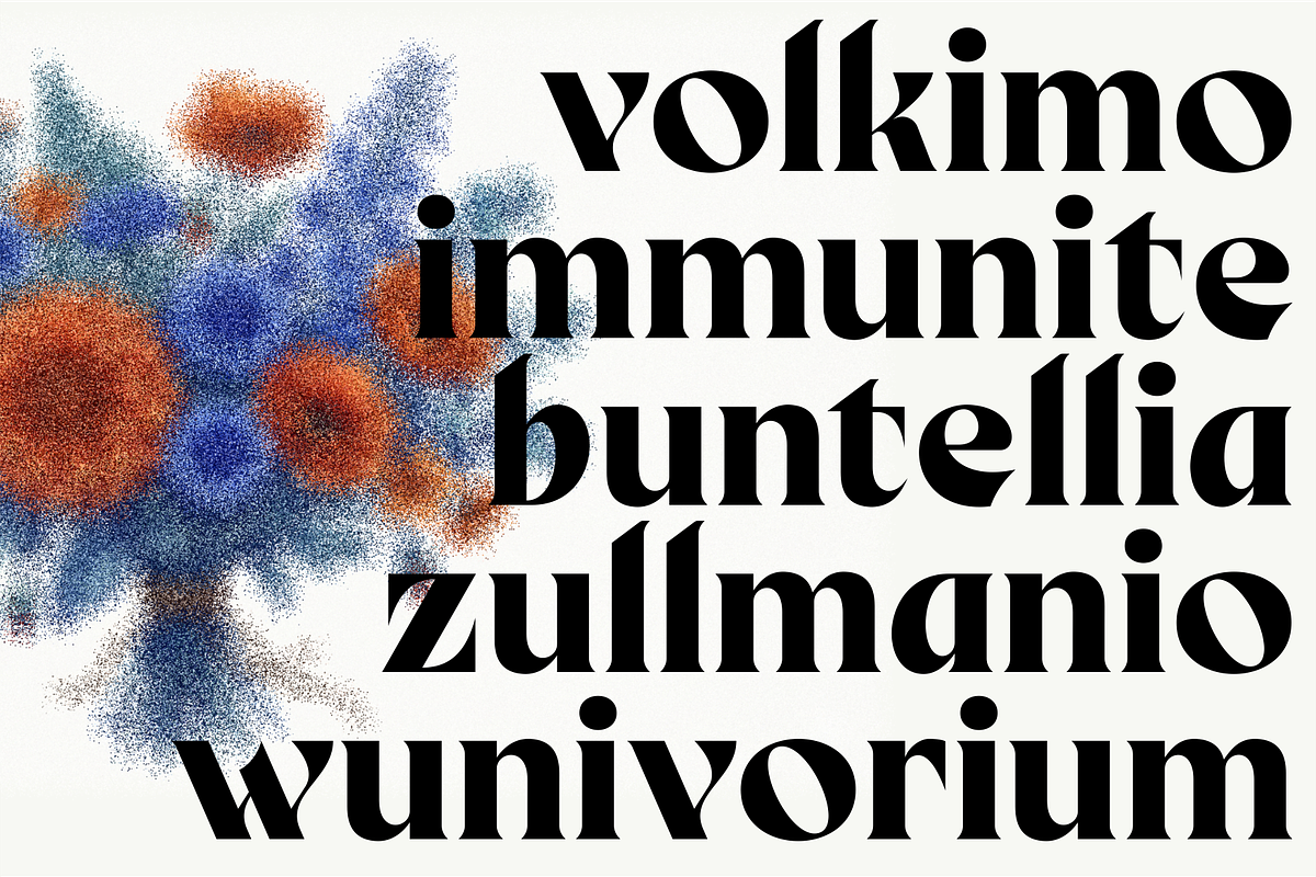 Birvase Display Font, a Serif Font by Bagerich Type Foundry (Photo 10 of 12)