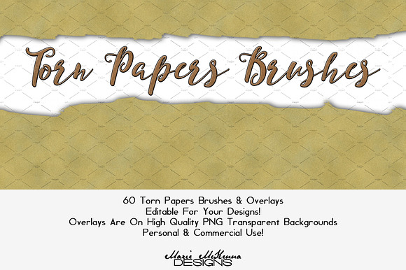 Torn Papers Brushes & Overlays preview 6