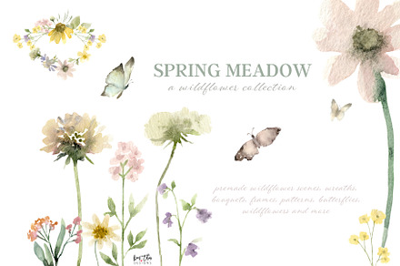 Spring Meadow Wildflower Collection