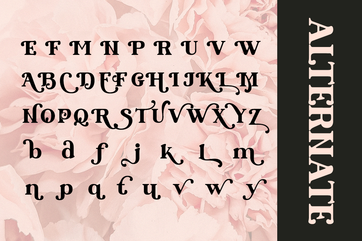 Modesto - Retro Modern Stylish Serif, a Serif Font by Qweera Studio (Photo 11 of 12)