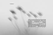 FLAYRA: 30 Blurry Abstract Florals, a Background Graphic by Veyla (Thumbnail 7 of 12)