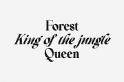Beautiful Comethrue Family 54 Fonts, a Serif Font by Sealoung (Thumbnail 15 of 18)