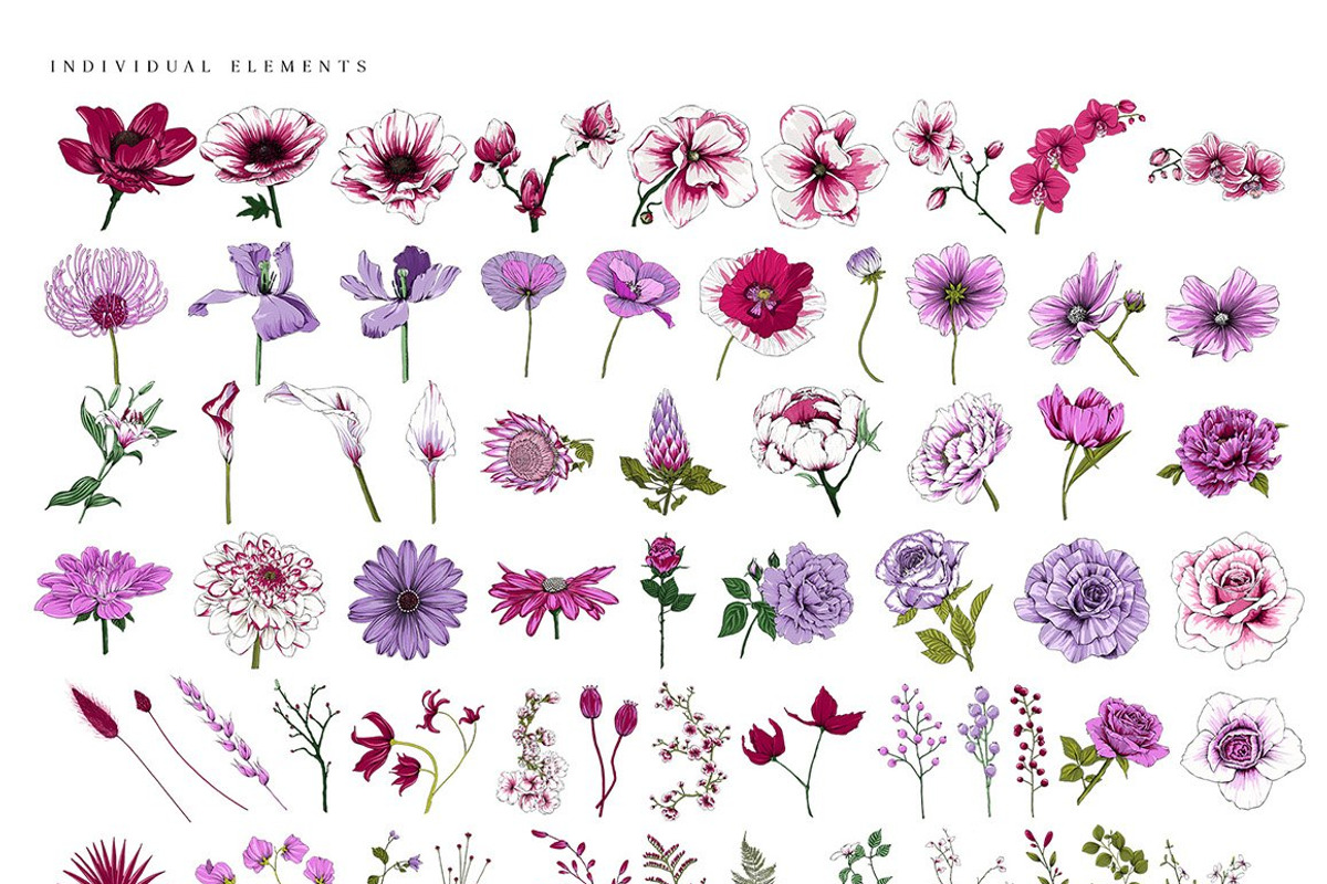 Ultimate Flower & Leaf Collection, an Object Graphic by Pretty Little Lines (Photo 12 of 47)