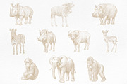 African Safari Animals & Trees Set, an Animal Illustration by NatalieArtShop (Thumbnail 3 of 7)