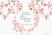 Sakura Season - Delicate watercolour, an Illustration by Olga Koelsch (Thumbnail 6 of 11)
