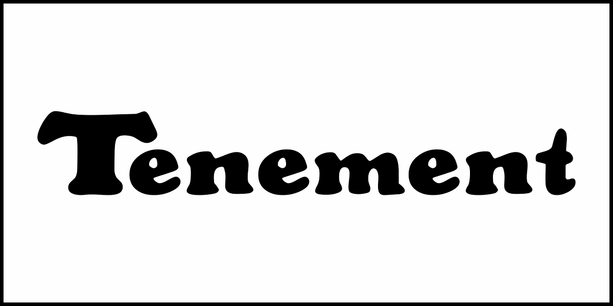 Tenement JNL, a Serif Font by Jeff Levine Fonts (Photo 2 of 5)