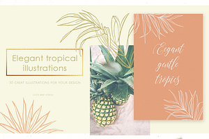 Tropical Illustrations & Patterns