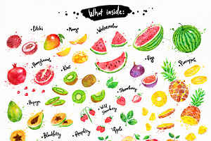 Fruit Watercolor Collection