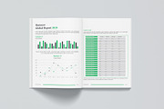 Annual Report Bundle | Word, indd, a Brochure Template by obayes (Thumbnail 39 of 51)