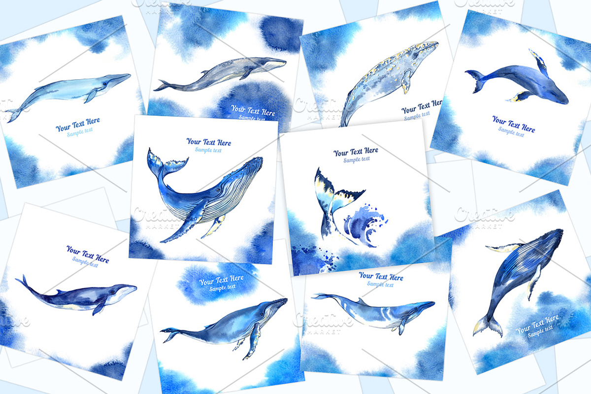 Watercolor whales, an Animal Illustration by Evgeniia Zagreeva (Photo 3 of 5)