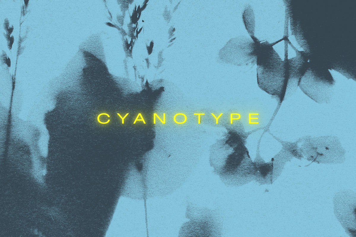FLORAL Cyanotype, a Texture Graphic by nkate (Photo 1 of 10)