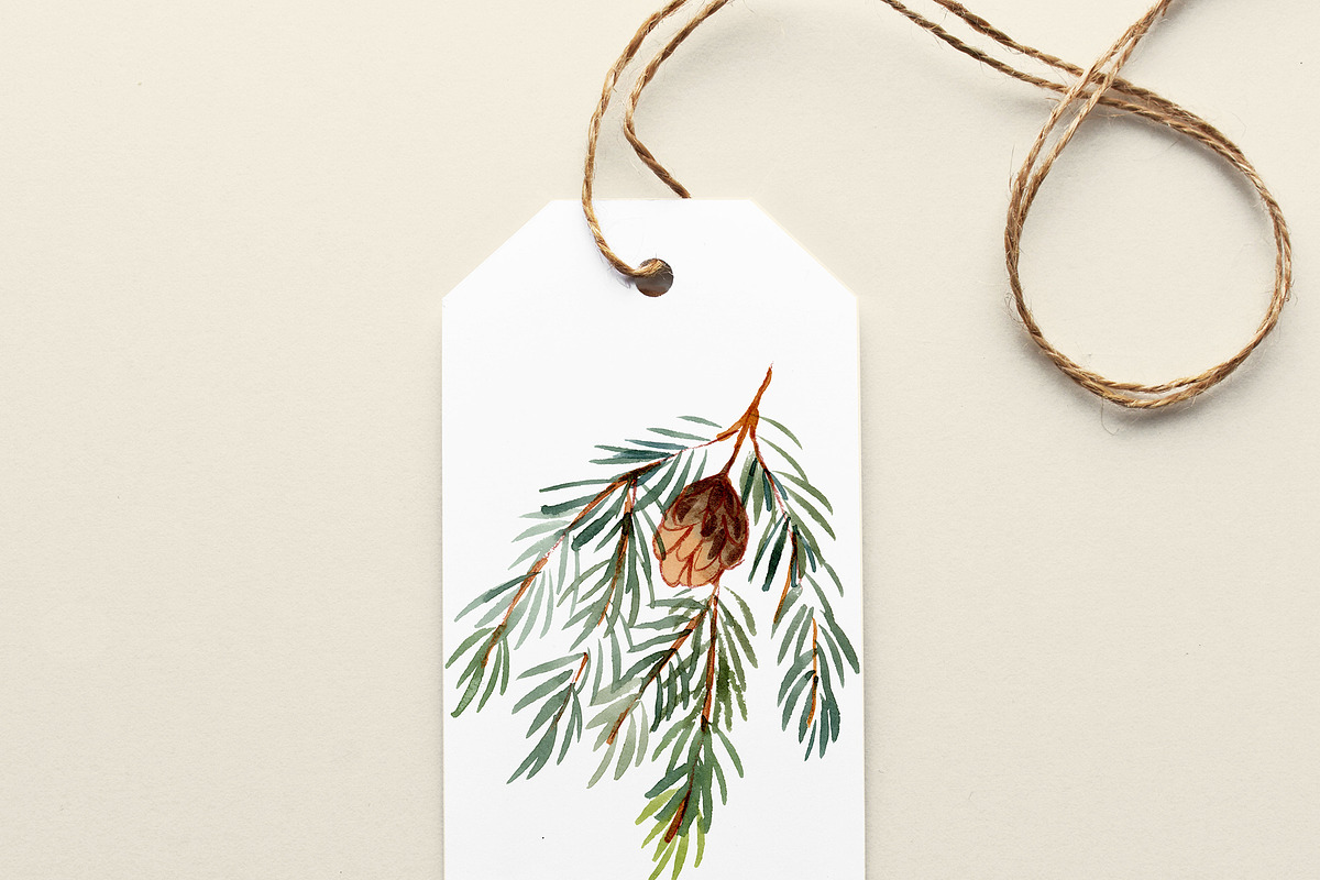 Pine Cones, hand painted clipart, a Seasonal Illustration by swiejko (Photo 5 of 5)