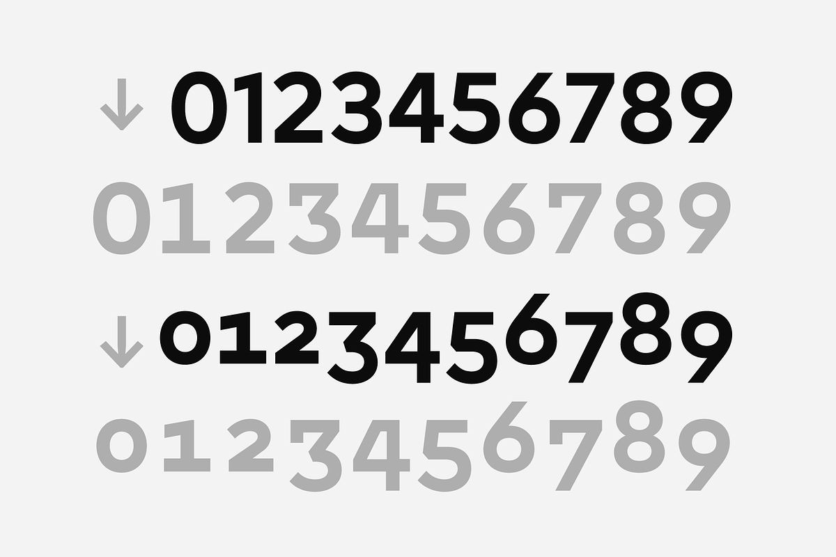 Chesna Grotesk, a Sans Serif Font by Horizon Type Foundry (Photo 16 of 19)
