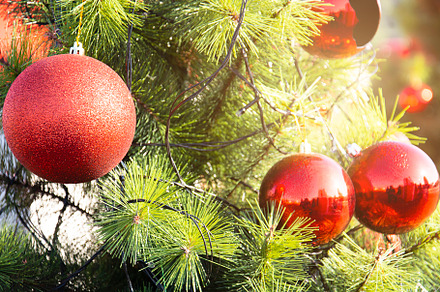 Beautiful Decorated Christmas Tree., an Arts & Entertainment Photo by rakoptonLPN
