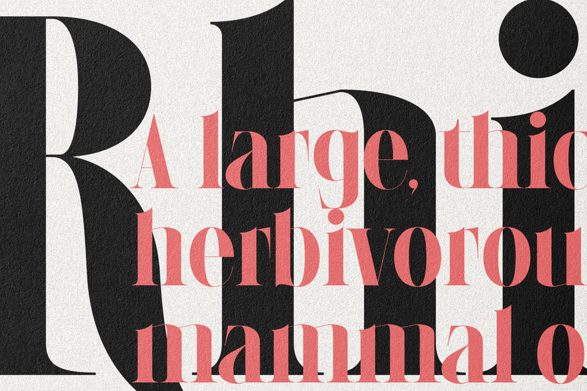 LaRuja - Modern Serif Typeface, a Serif Font by SilverStag Type Foundry (Photo 5 of 20)