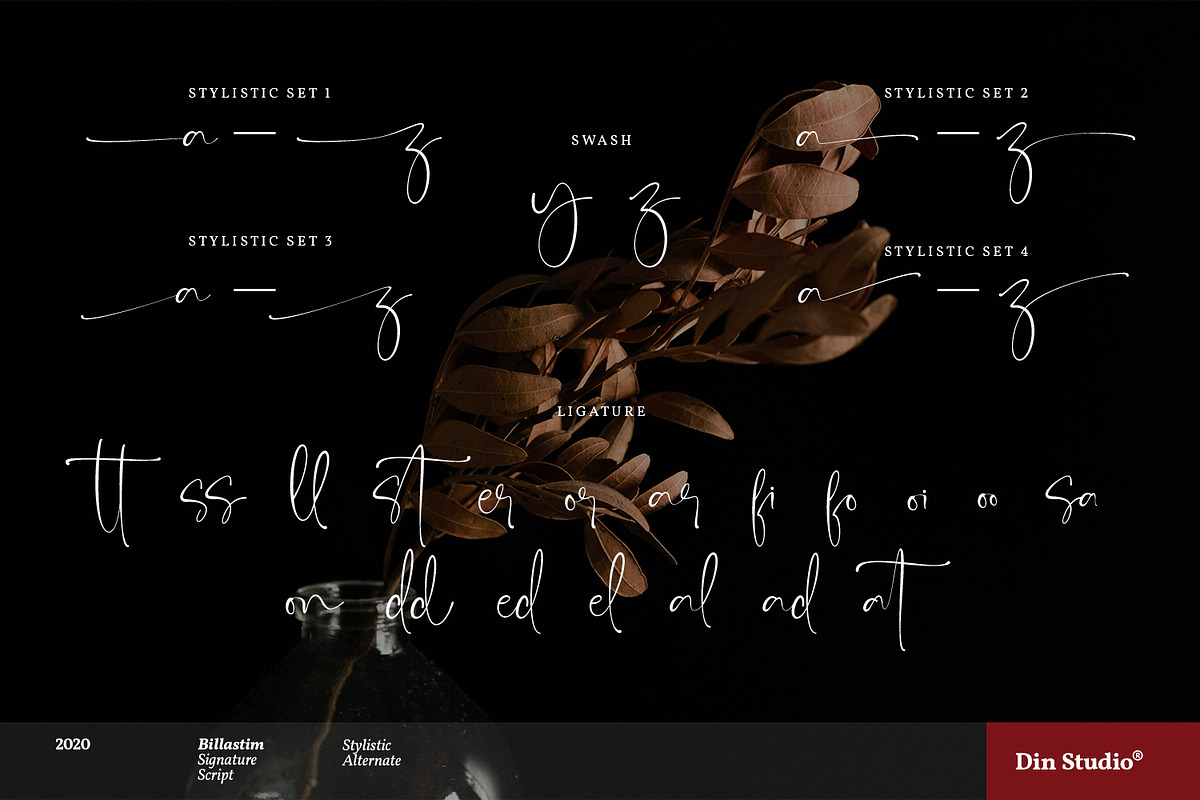 Billastim, a Script Font by din-studio.com (Photo 8 of 10)