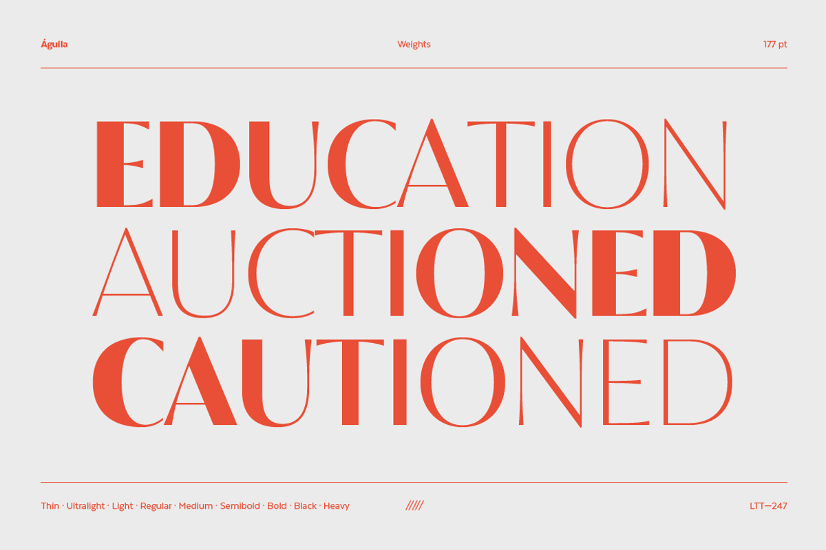 Águila, a Sans Serif Font by Latinotype (Photo 3 of 15)