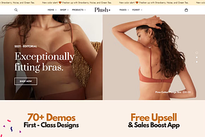 Bra Store - Shopify Multipurpose