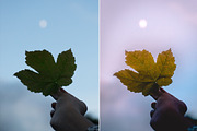 Summer Adventure - Lightroom Presets, a Plug-in Add-On by ELITE ARTISTS (Thumbnail 5 of 10)