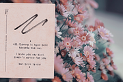 Mixed-up SVG Typewriter Font, a Serif Font by Ana's Fonts (Thumbnail 6 of 9)