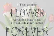 Bloom | A Delicate Decorative Font, a Font by Emalee Roth (Thumbnail 5 of 5)