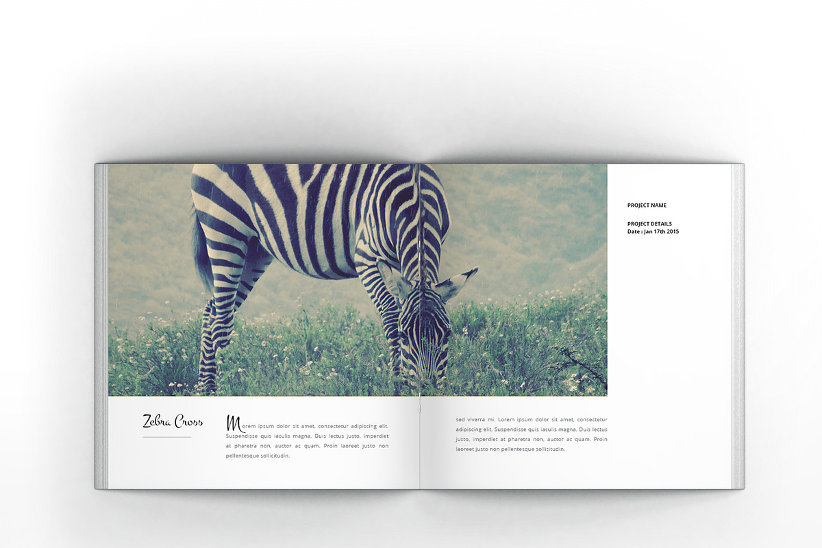 Multipurpose Square Clean Brochure, a Brochure Template by Incools Stokie (Photo 9 of 14)