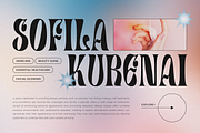Canistel - Display Serif Font, a Serif Font by Unicode Studio (Thumbnail 9 of 13)
