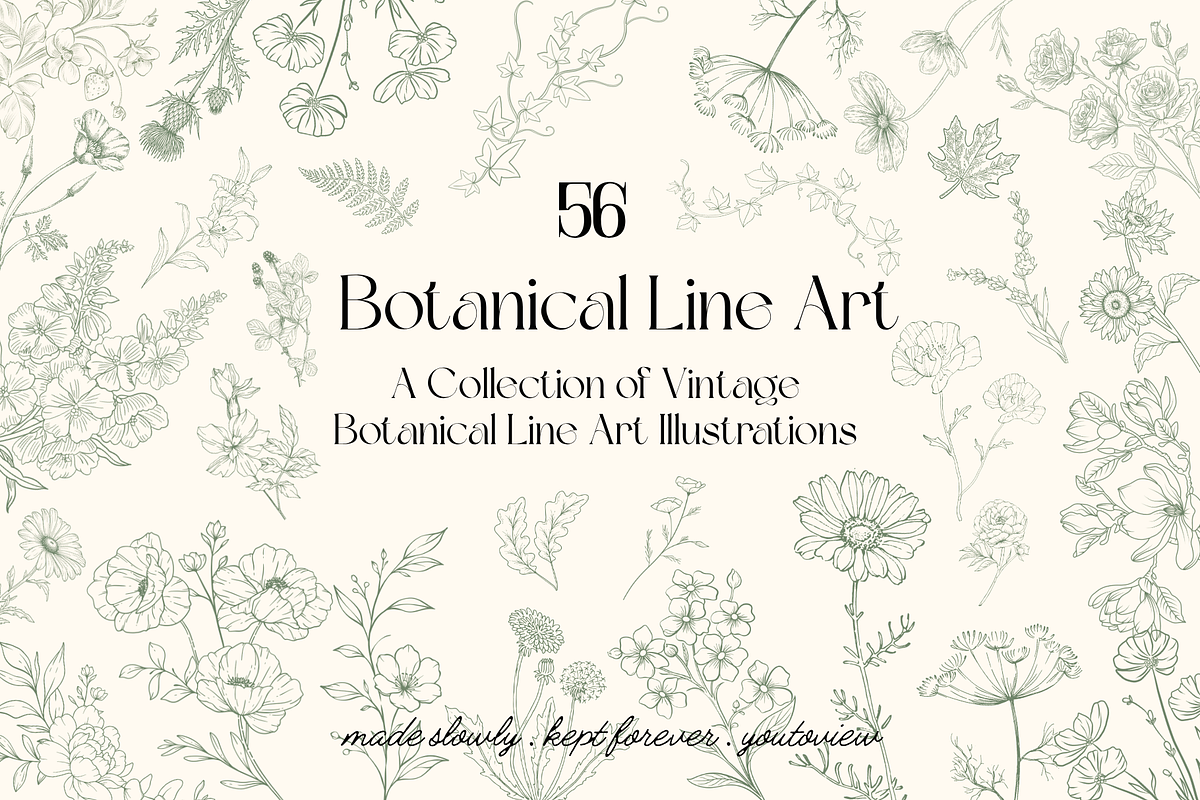 Botanical Line Art Illustrations, a Decorative Illustration by youtoview (Photo 1 of 15)