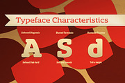 Sancoale Slab Soft, a Slab Serif Font by insigne (Thumbnail 3 of 5)