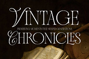 Andiena Bielsa - Hybrid Serif, a Serif Font by Arterfak Project (Thumbnail 6 of 12)