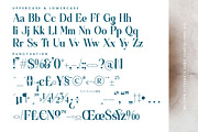 Quarky Kitchen Modern Serif Font, a Serif Font by timelesstype.co (Thumbnail 18 of 20)