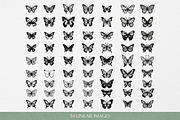 Butterfliy Line art & Silhouette SVG, an Object Graphic by Graphic Soul (Thumbnail 2 of 3)