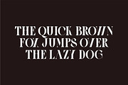 Galery - Elegant Modern Typeface, a Serif Font by suhadidesign (Thumbnail 7 of 15)