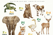 Animal Alphabet Flashcards, an Education Illustration by Sunshine Art (Thumbnail 5 of 11)