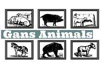Gans Animals